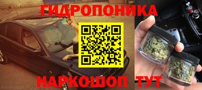 гидропоника Коммунар