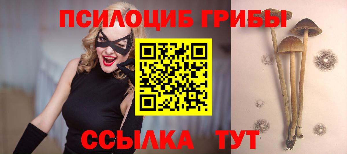 Псилоцибиновые грибы Psilocybine cubensis  Вход с VPN  Галлюциногенные грибы ЛСД  купить наркотики цена  Калуга 