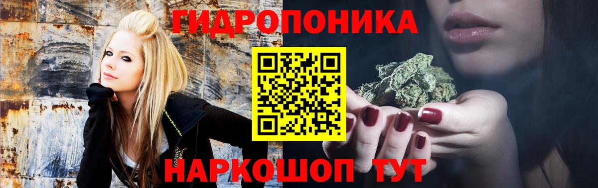 Канабис OG Kush Калуга